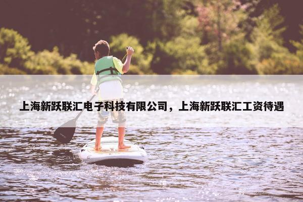 上海新跃联汇电子科技有限公司，上海新跃联汇工资待遇