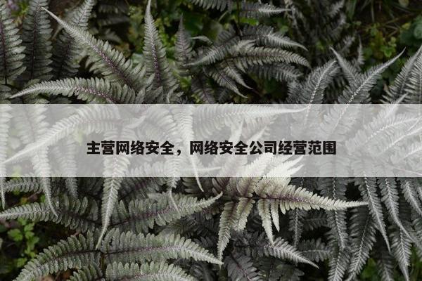 主营网络安全，网络安全公司经营范围