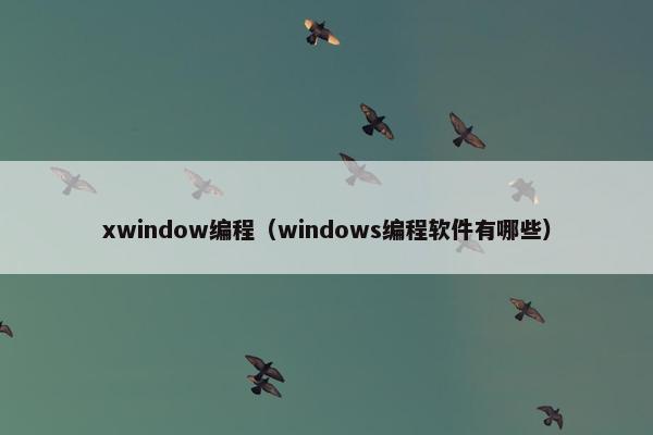 xwindow编程(windows编程软件有哪些) xwindow编程(windows编程软件有哪些)