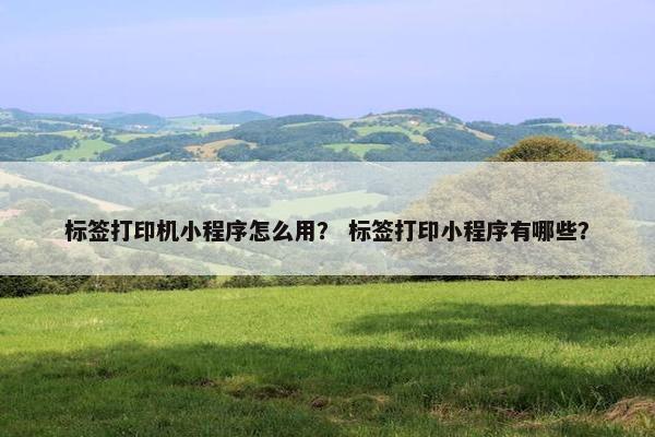 标签打印机小程序怎么用? 标签打印小程序有哪些? 标签打印机小程序怎么用? 标签打印小程序有哪些?