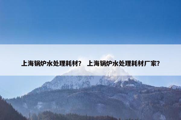 上海锅炉水处理耗材？ 上海锅炉水处理耗材厂家？