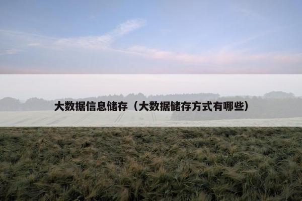 大数据信息储存（大数据储存方式有哪些）