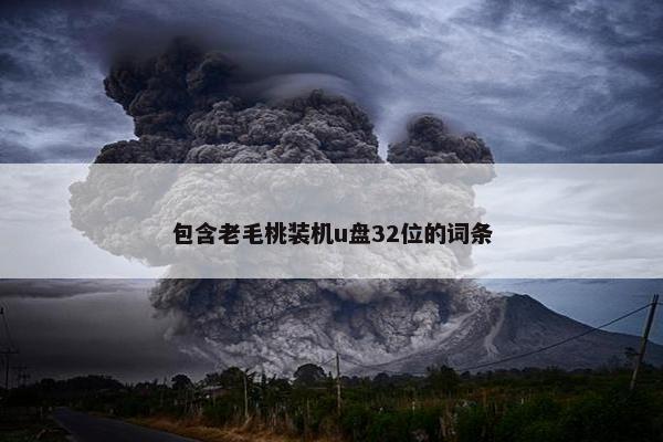 包含老毛桃装机u盘32位的词条 包含老毛桃装机u盘32位的词条