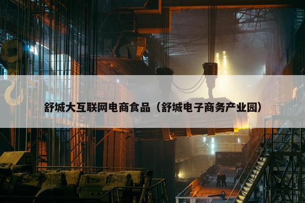 舒城大互联网电商食品（舒城电子商务产业园）