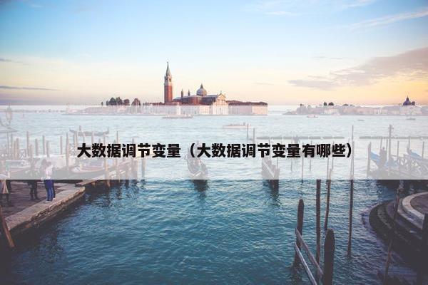 大数据调节变量（大数据调节变量有哪些）