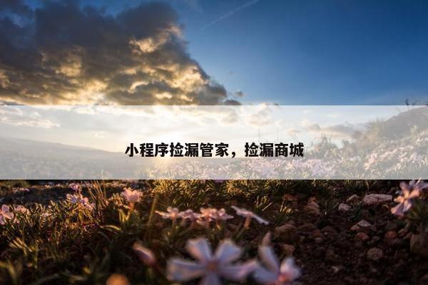 小程序捡漏管家，捡漏商城