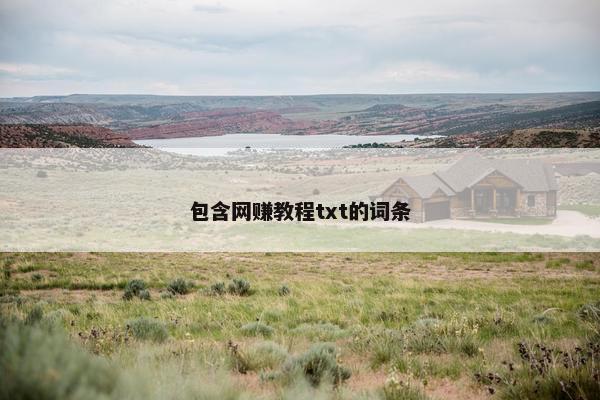 包含网赚教程txt的词条