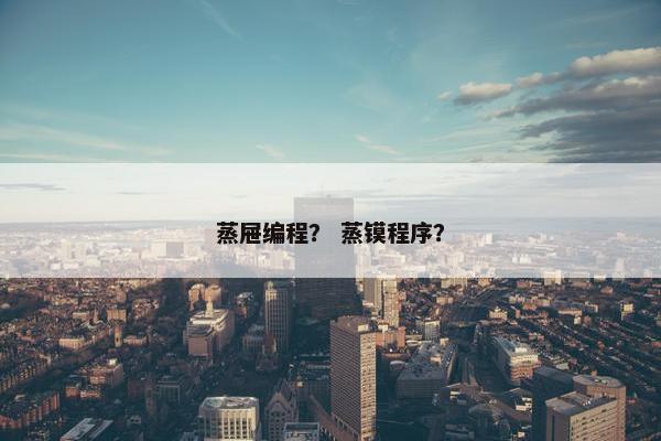 蒸屉编程？ 蒸镆程序？