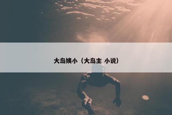 大岛姨小（大岛主 小说）