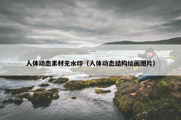 人体动态素材无水印(人体动态结构绘画图片) 人体动态素材无水印(人体动态结构绘画图片)