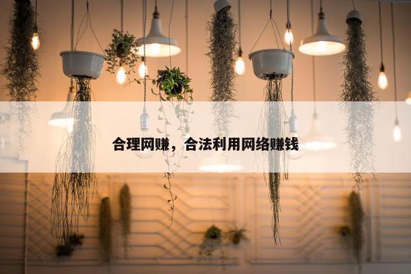 合理网赚，合法利用网络赚钱