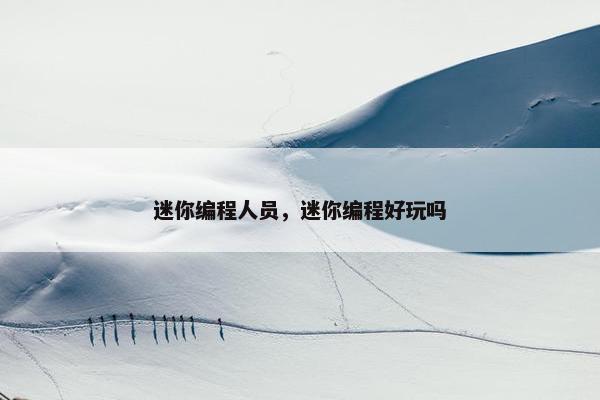 迷你编程人员，迷你编程好玩吗