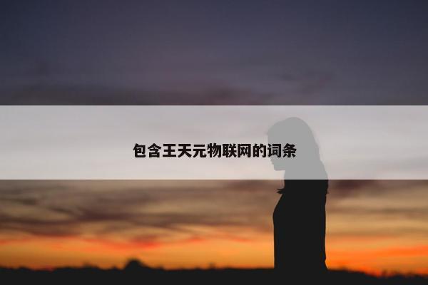 包含王天元物联网的词条