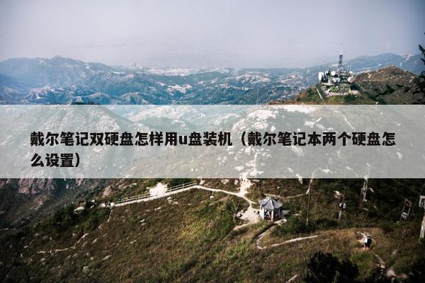 戴尔笔记双硬盘怎样用u盘装机（戴尔笔记本两个硬盘怎么设置）