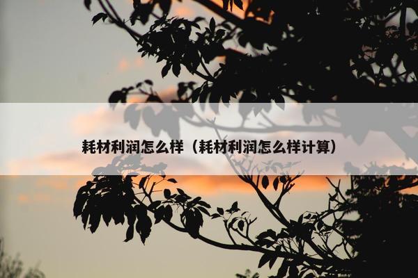 耗材利润怎么样（耗材利润怎么样计算）