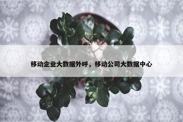 移动企业大数据外呼,移动公司大数据中心 移动企业大数据外呼,移动公司大数据中心
