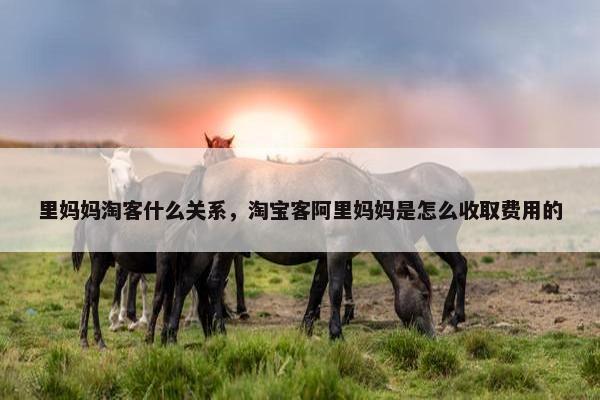 里妈妈淘客什么关系,淘宝客阿里妈妈是怎么收取费用的 里妈妈淘客什么关系,淘宝客阿里妈妈是怎么收取费用的