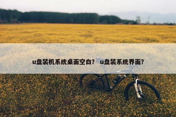 u盘装机系统桌面空白？ u盘装系统界面？