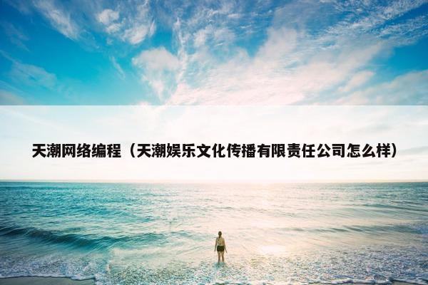 天潮网络编程（天潮娱乐文化传播有限责任公司怎么样）