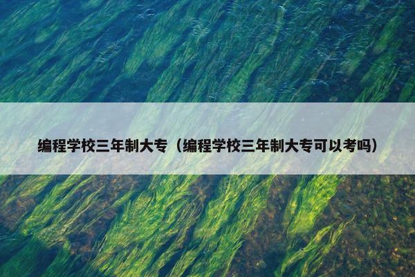 编程学校三年制大专（编程学校三年制大专可以考吗）