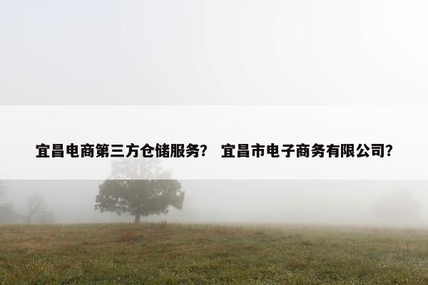 宜昌电商第三方仓储服务？ 宜昌市电子商务有限公司？