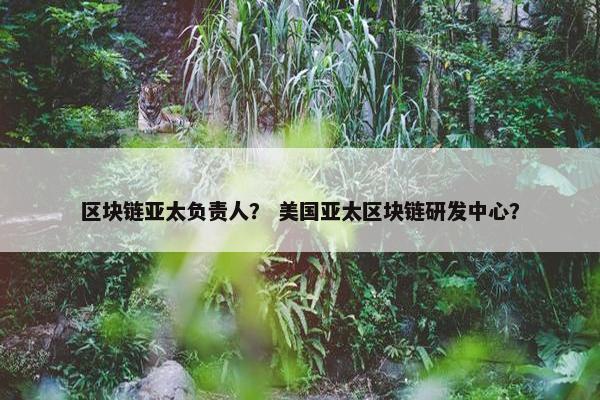 区块链亚太负责人？ 美国亚太区块链研发中心？