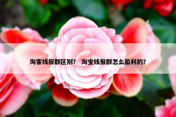 淘客线报群区别? 淘宝线报群怎么盈利的? 淘客线报群区别? 淘宝线报群怎么盈利的?