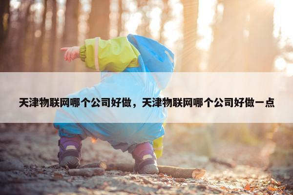 天津物联网哪个公司好做，天津物联网哪个公司好做一点