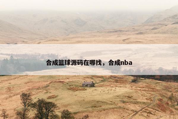 合成篮球源码在哪找，合成nba
