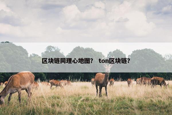 区块链同理心地图? ton区块链? 区块链同理心地图? ton区块链?