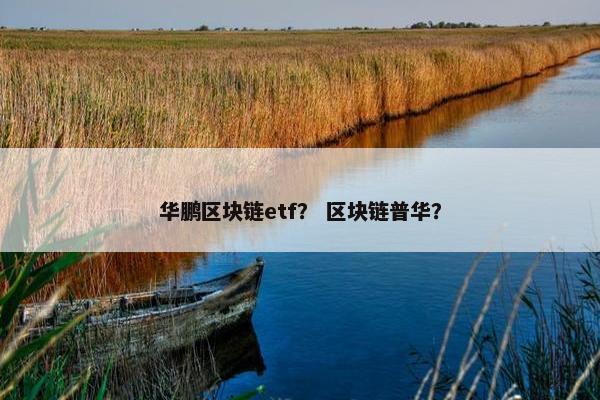 华鹏区块链etf？ 区块链普华？