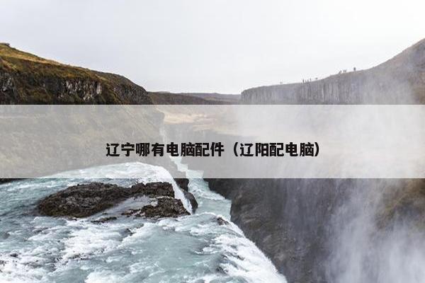 辽宁哪有电脑配件（辽阳配电脑）