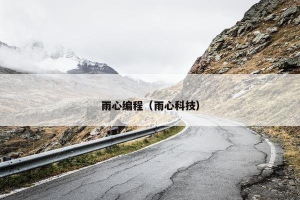 雨心编程(雨心科技) 雨心编程(雨心科技)