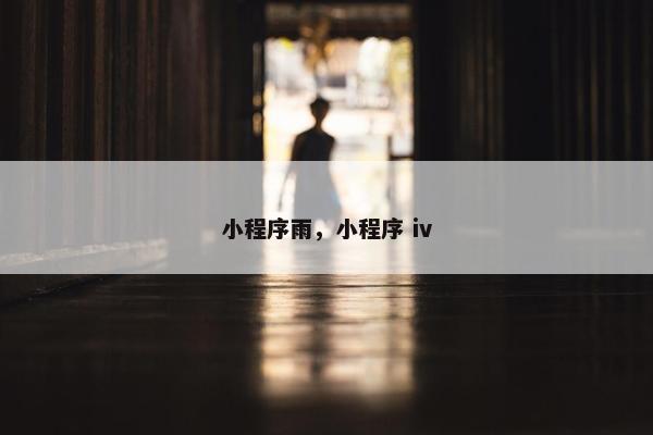 小程序雨,小程序 iv 小程序雨,小程序 iv