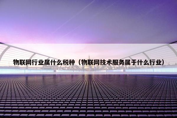 物联网行业属什么税种（物联网技术服务属于什么行业）