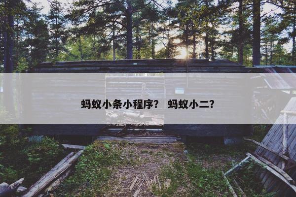 蚂蚁小条小程序? 蚂蚁小二? 蚂蚁小条小程序? 蚂蚁小二?