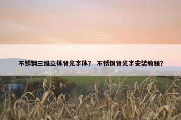 不锈钢三维立体背光字体？ 不锈钢背光字安装教程？