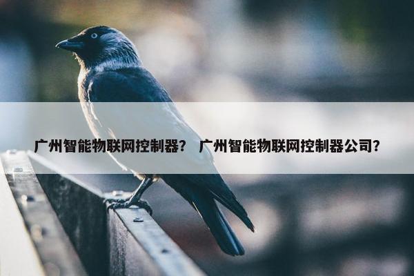 广州智能物联网控制器？ 广州智能物联网控制器公司？