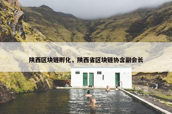 陕西区块链孵化，陕西省区块链协含副会长