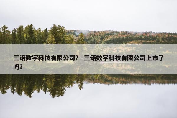 三诺数字科技有限公司？ 三诺数字科技有限公司上市了吗？