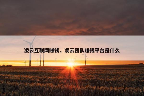 凌云互联网赚钱，凌云团队赚钱平台是什么