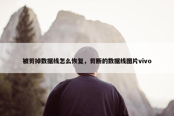 被剪掉数据线怎么恢复，剪断的数据线图片vivo