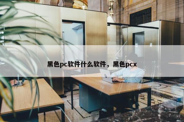黑色pc软件什么软件，黑色pcx