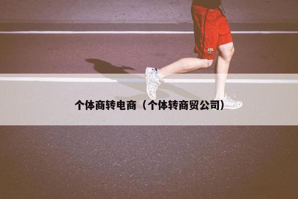 个体商转电商（个体转商贸公司）