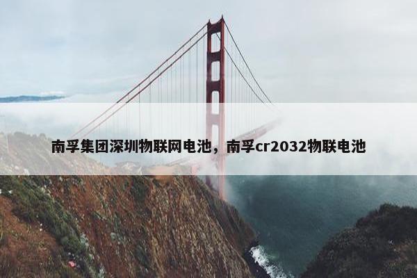 南孚集团深圳物联网电池，南孚cr2032物联电池