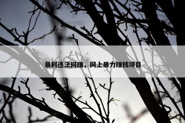 暴利违法网赚,网上暴力赚钱项目 暴利违法网赚,网上暴力赚钱项目