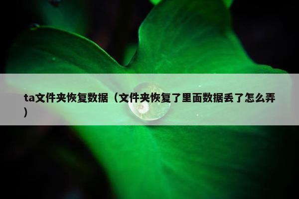 ta文件夹恢复数据（文件夹恢复了里面数据丢了怎么弄）