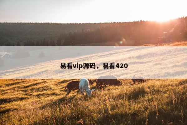 易看vip源码，易看420