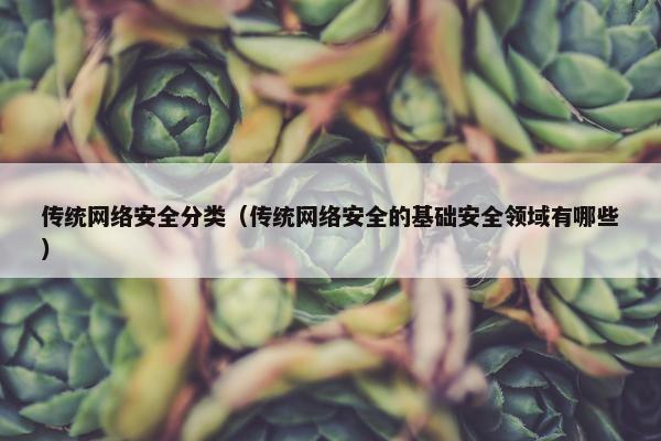 传统网络安全分类（传统网络安全的基础安全领域有哪些）