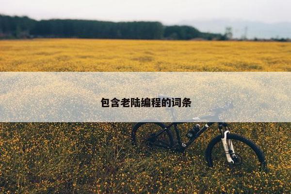 包含老陆编程的词条